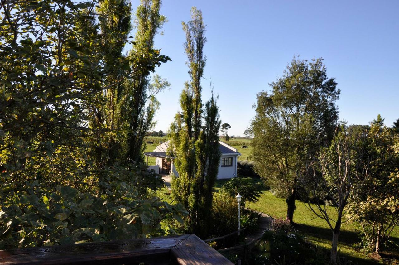 Tsitsikamma Gardens Cottages Self-catering Cottages Sanddrif Exteriör bild